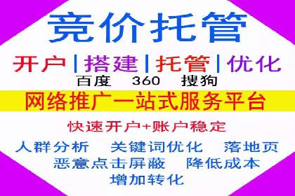 SEM推广实战：案例分析及效果评估